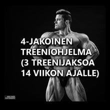  4-jakoinen treeniohjelma (3 treenijaksoa 14 viikon ajalle)